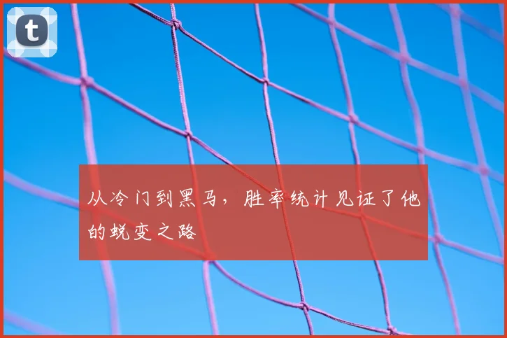 从冷门到黑马，胜率统计见证了他的蜕变之路