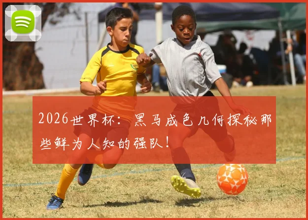 2026世界杯：黑马成色几何探秘那些鲜为人知的强队！
